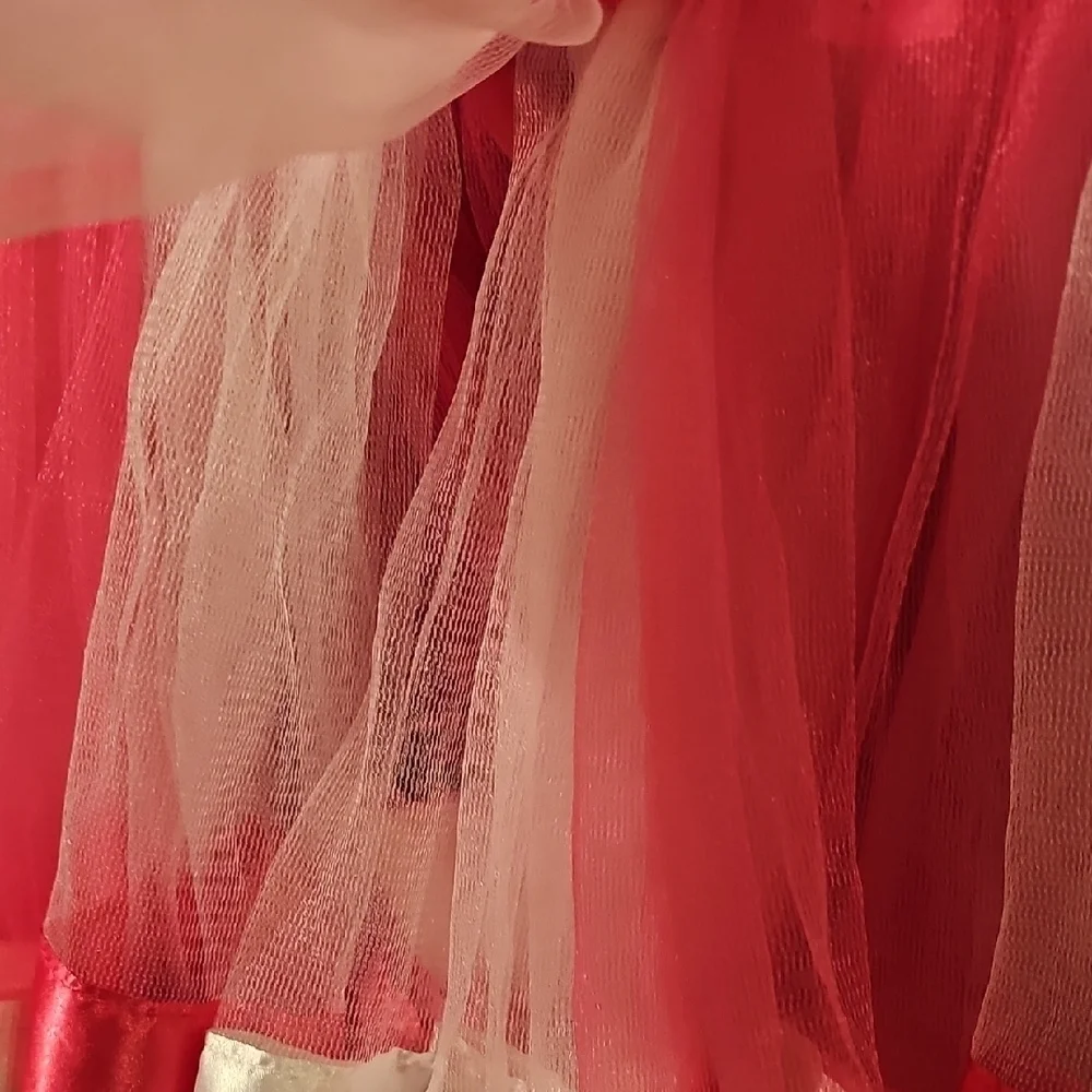 Simplicity NWT Pink Tulle Skirt for Dance Size S/M